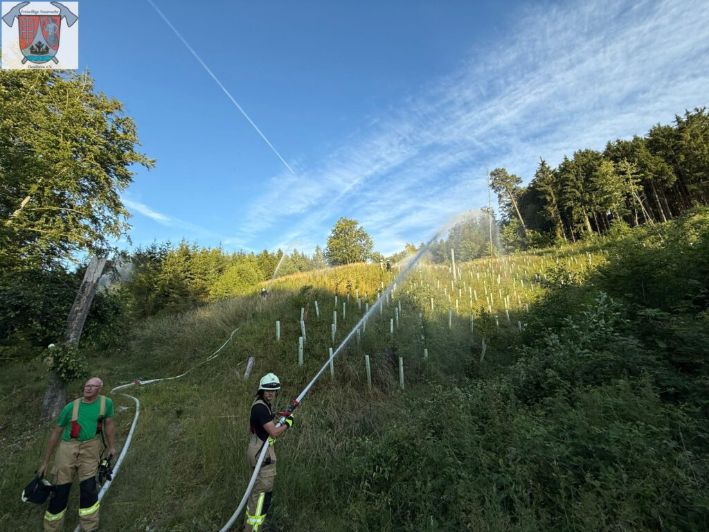 Wasserabgabe im Wald