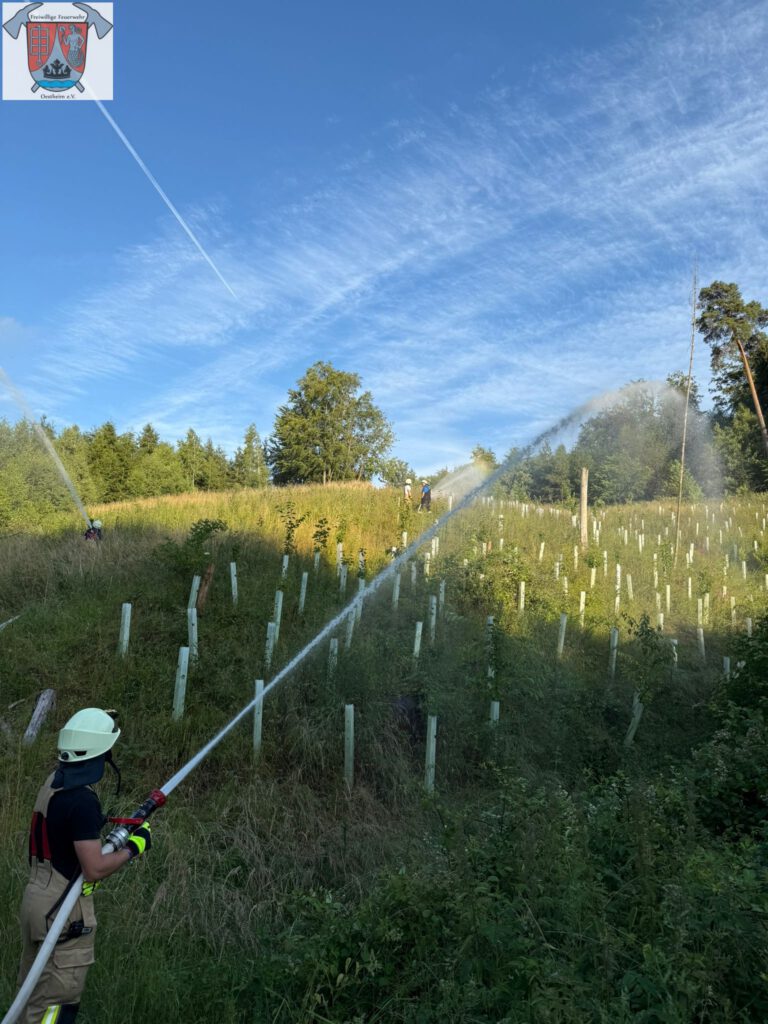 Wasserabgabe im Wald