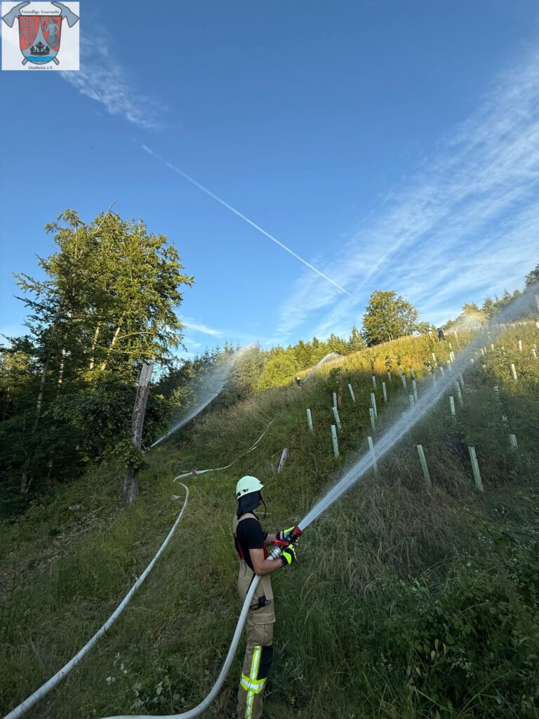 Wasserabgabe im Wald