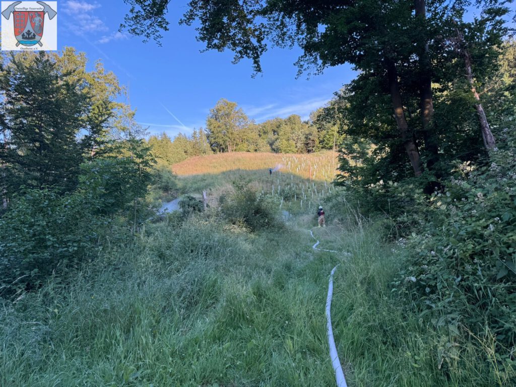 Wasserabgabe im Wald
