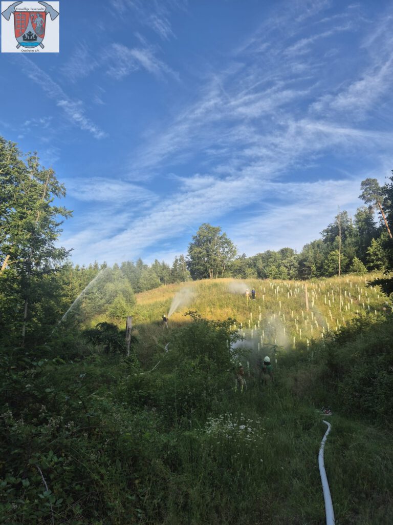 Wasserabgabe auf Bäume