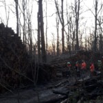 Einsatzkräfte sichern den Einsatzort