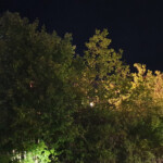 Einsatzkräfte suchen im Hang