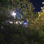 Einsatzkräfte suchen im Hang