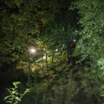Einsatzkräfte - Personenrettung Abhang Übung