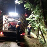 Einsatzkräfte - Personenrettung Abhang Übung