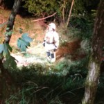 Einsatzkräfte - Personenrettung Abhang Übung