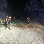 Einsatzkräfte zersägen den Baum