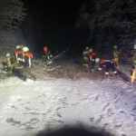 Einsatzkräfte zersägen den Baum