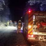 Einsatzkräfte zersägen den Baum