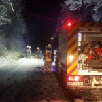 Einsatzkräfte zersägen den Baum