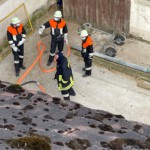 Einsatzkräfte vor dem Anwesen