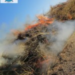 Osterfeuer 2021