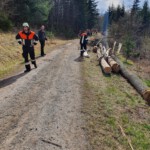 Einsatzkräfte beim löschen des Brandes