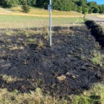 Böschungsbrand Steige