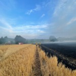 Einsatzkräfte auf dem gelöschten Feld