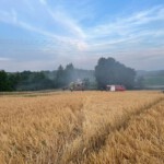 Feuerwehrfahrzeuge beim Einsatz Flächenbrand