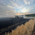Traktor mit Güllefass verteilt Wasser auf dem Feld
