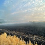 gelöschter Flächenbrand bei Lohrbach